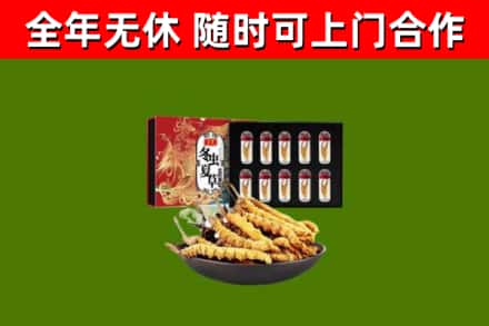 塘厦镇烟酒回收冬虫夏草礼盒.jpg