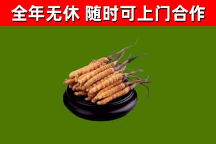 塘厦镇烟酒回收冬虫夏草.jpg