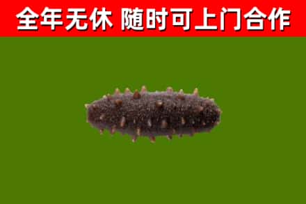 塘厦镇烟酒回收干海参.jpg